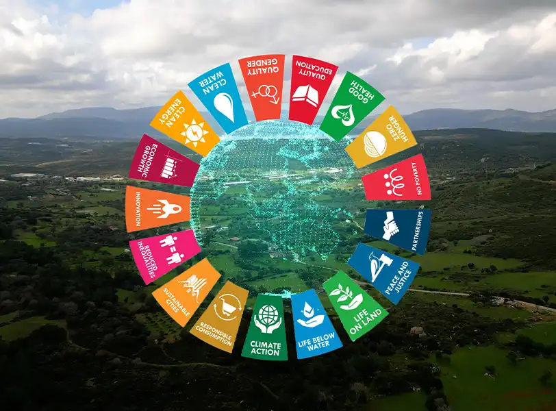Bild DSGs